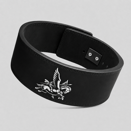 TRUST THE VISION Quick Locking Weightlifting Belt